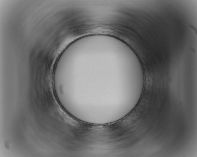 X0000103451478200809261805