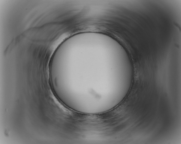 X0000103451479200809261805