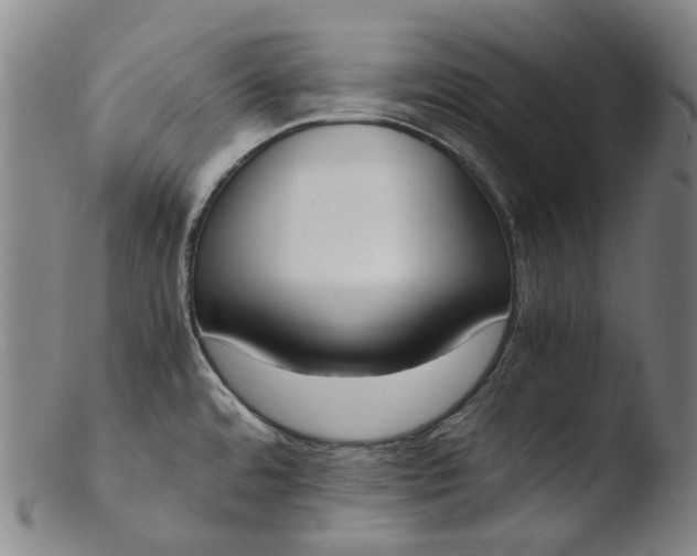 X0000103451480200809261805