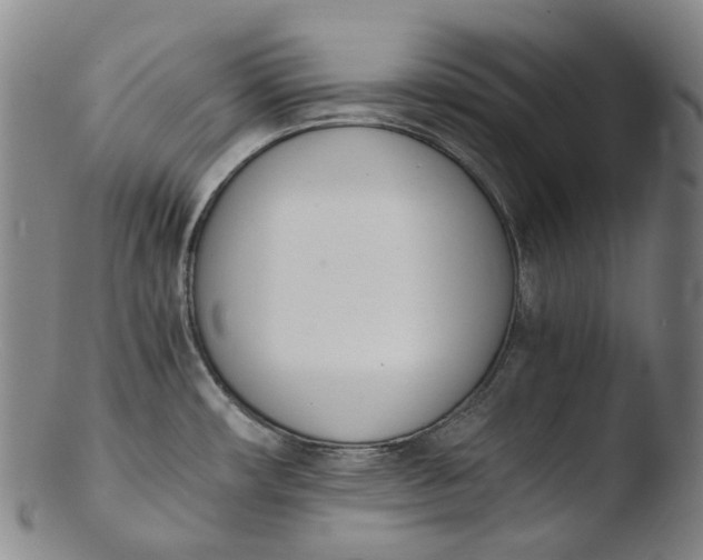 X0000103451482200809261805