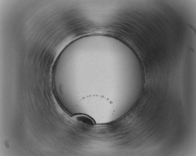 X0000103451483200809261805