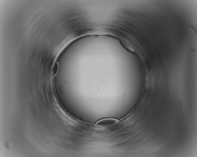 X0000103451484200809261805