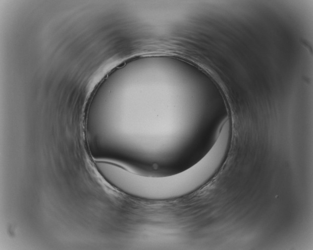 X0000103451485200809261805