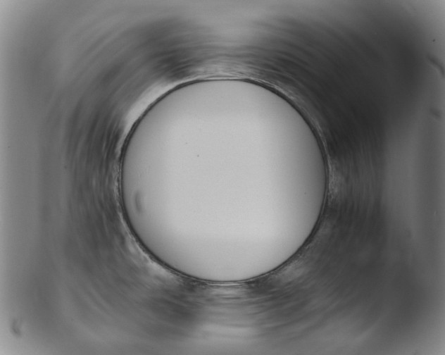 X0000103451486200809261805