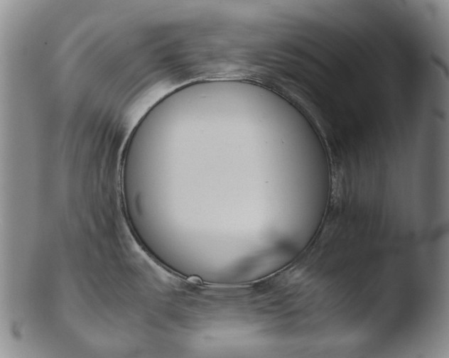 X0000103451487200809261805