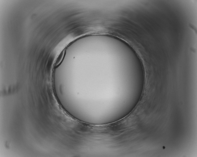 X0000103451488200809261805