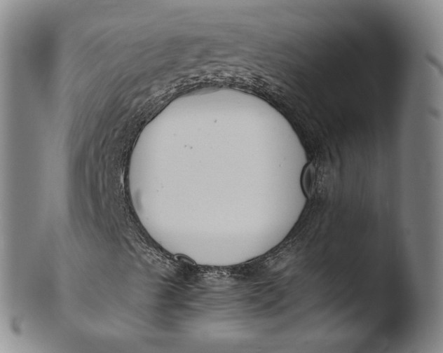 X0000103451489200809261804