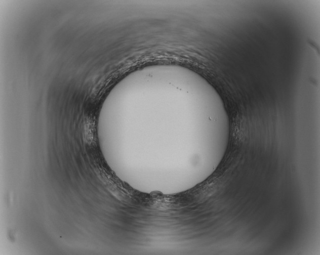 X0000103451490200809261805