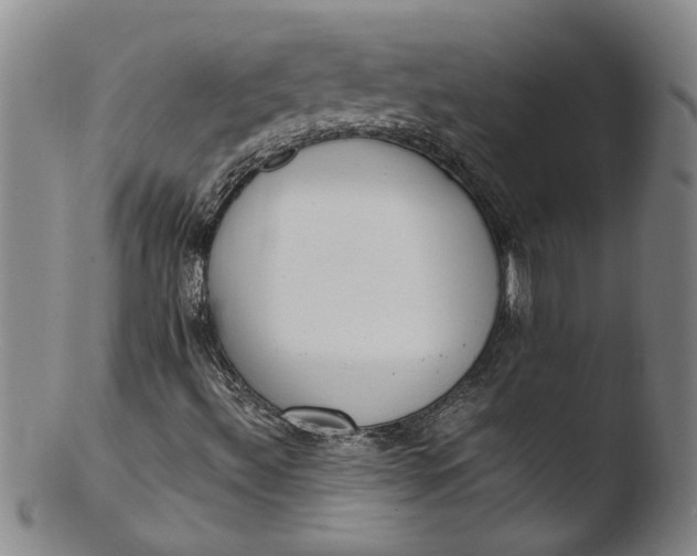 X0000103451492200809261805