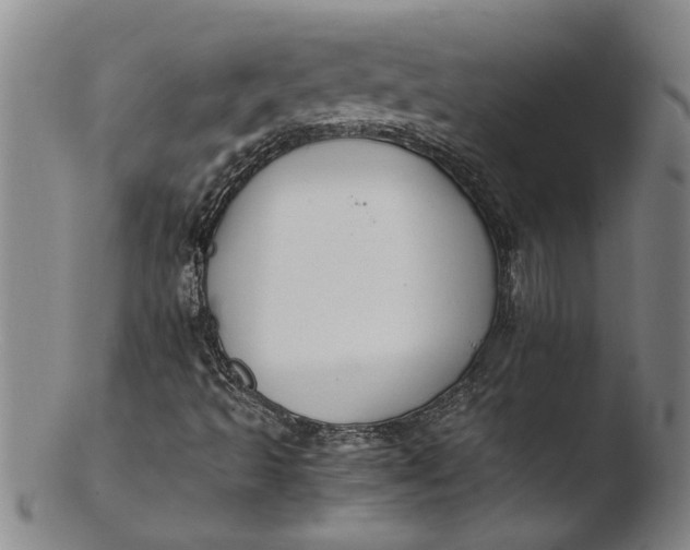 X0000103451493200809261805