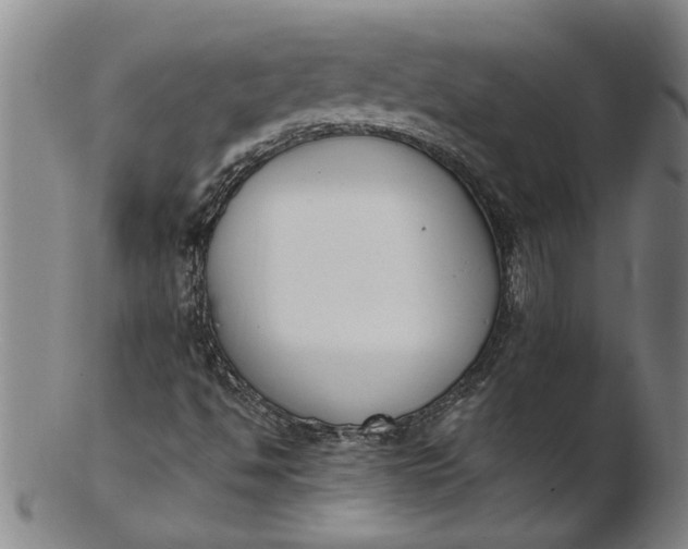 X0000103451494200809261805