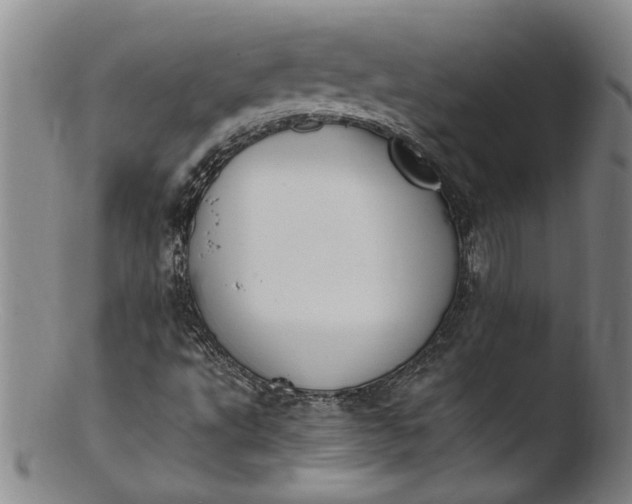 X0000103451495200809261805