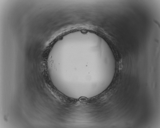 X0000103451496200809261805