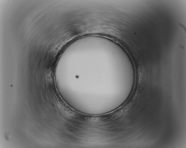 X0000103451497200809261805