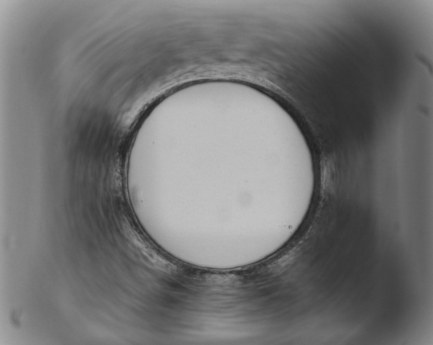 X0000103451498200809261805