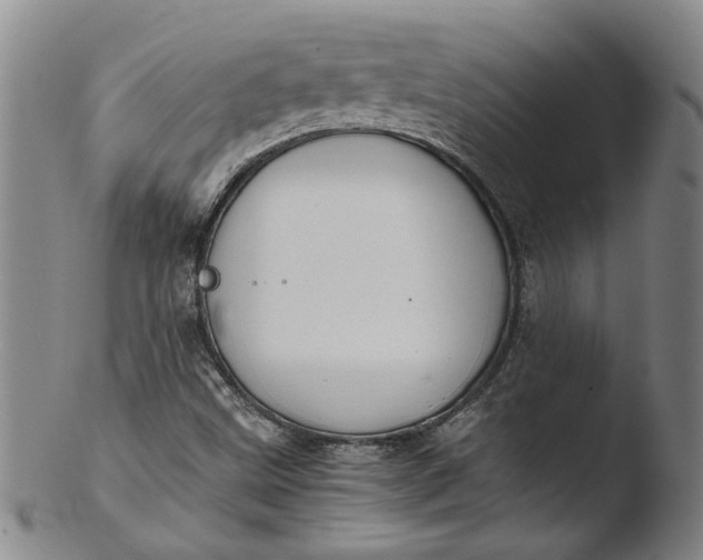 X0000103451499200809261805