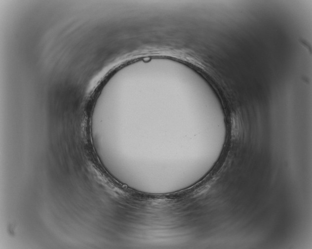 X0000103451502200809261805