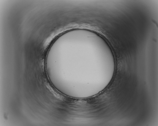 X0000103451503200809261805