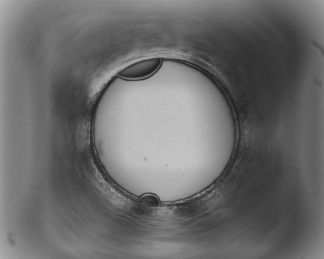 X0000103451504200809261805