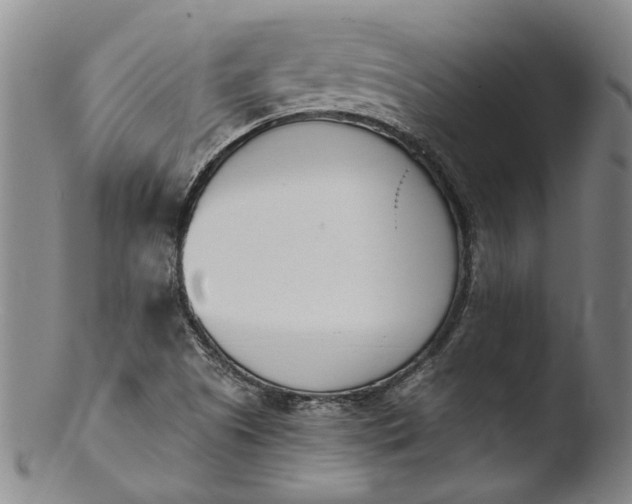 X0000103451505200809261805