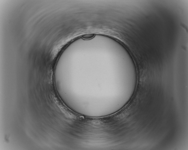 X0000103451507200809261805