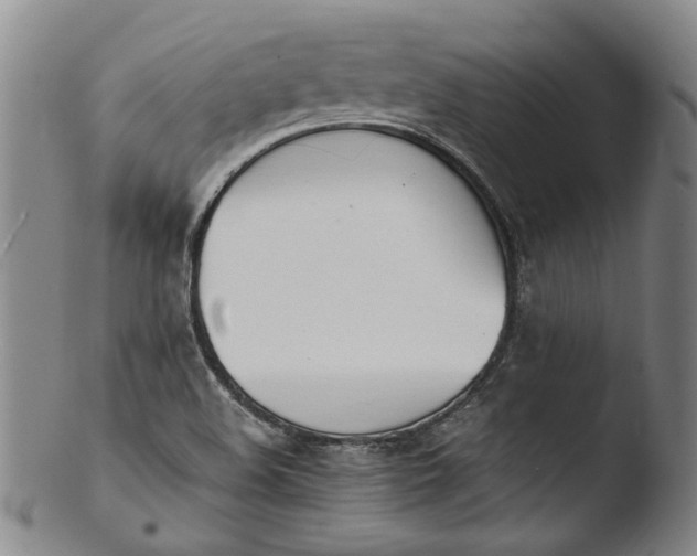 X0000103451508200809261805