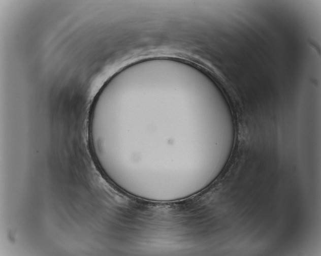 X0000103451512200809261805