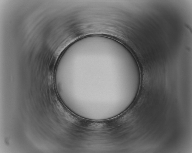 X0000103451513200809261805