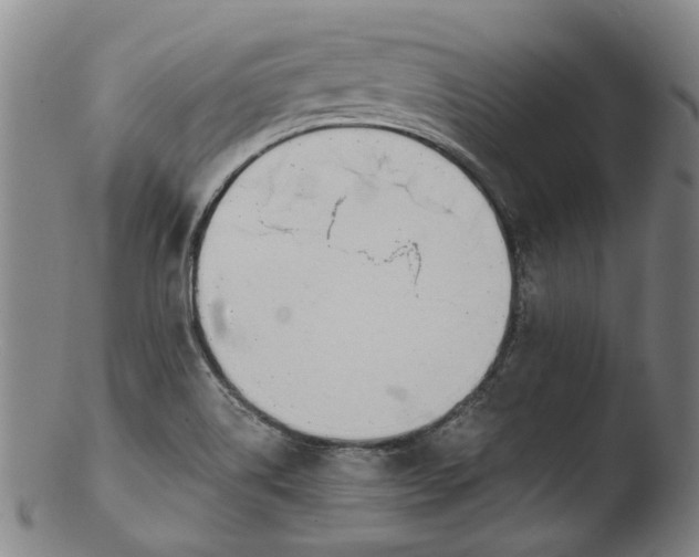 X0000103451514200809261805