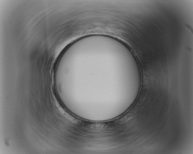 X0000103451515200809261805