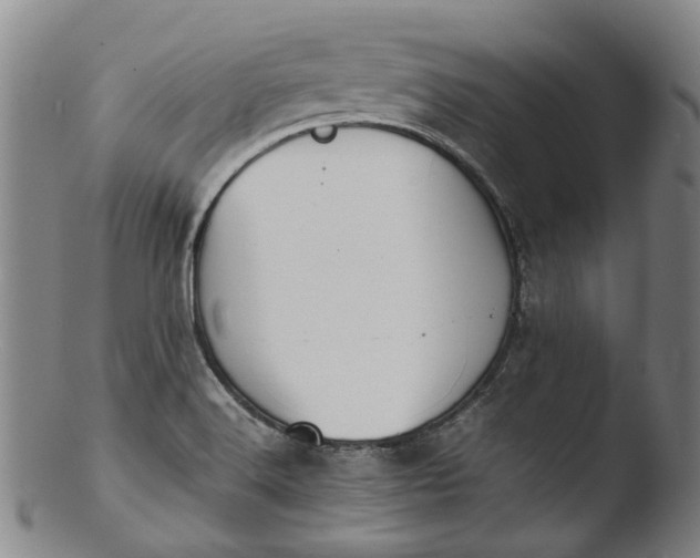 X0000103451516200809261805