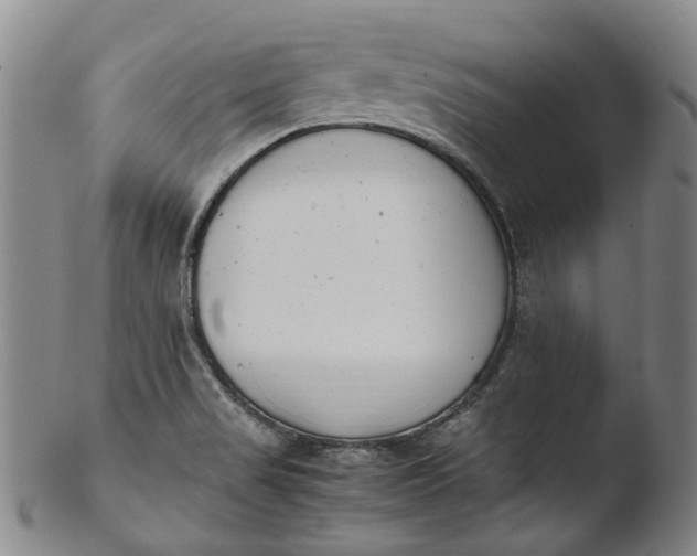 X0000103451517200809261805