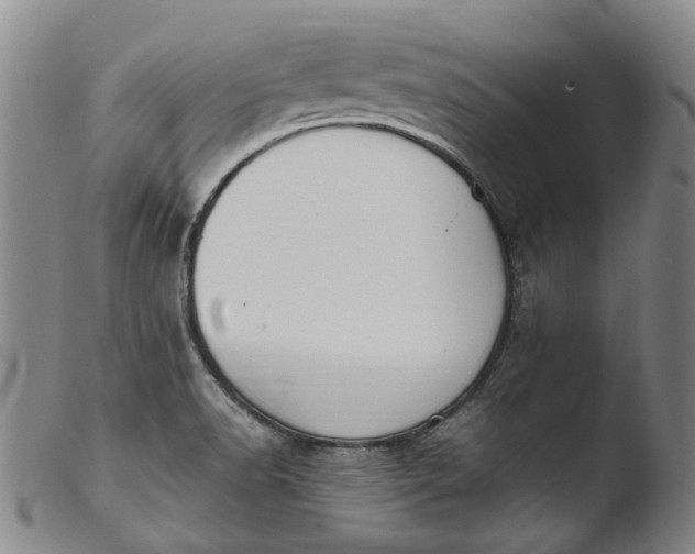 X0000103451518200809261805