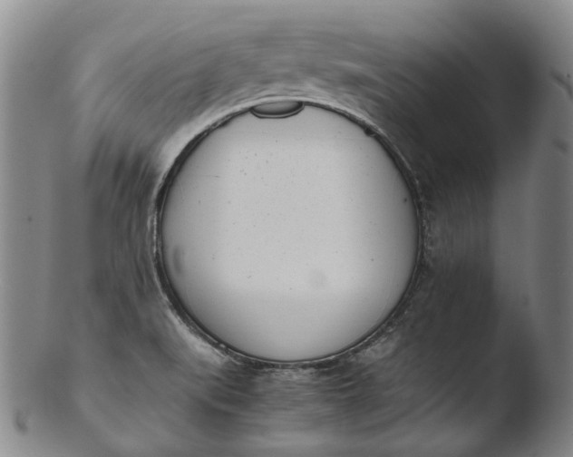 X0000103451519200809261805