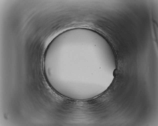 X0000103451520200809261805