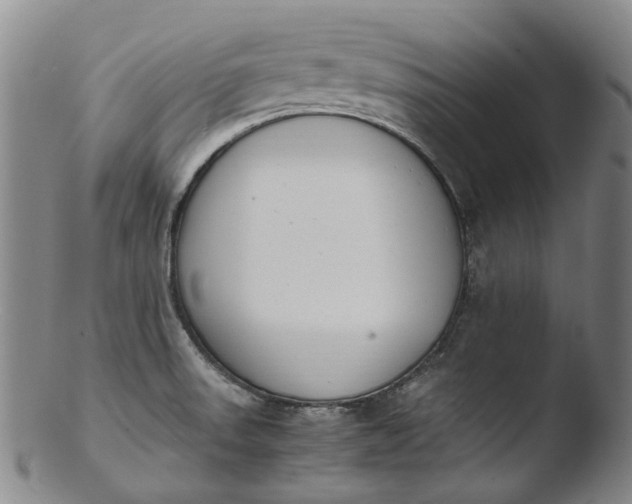 X0000103451523200809261805