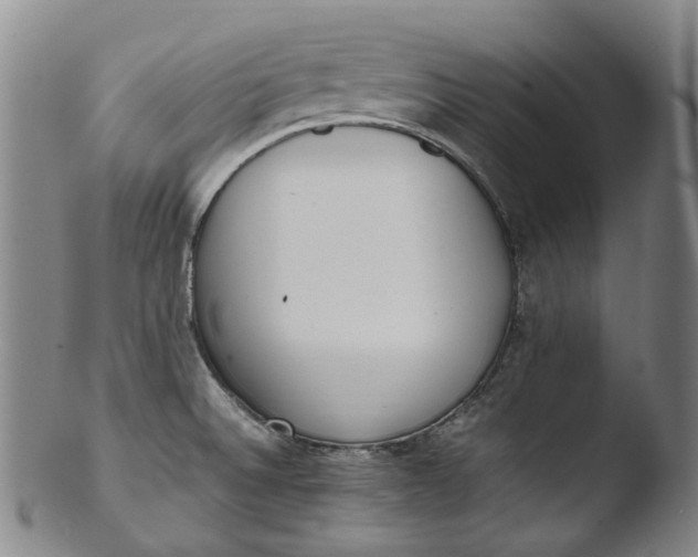 X0000103451524200809261805