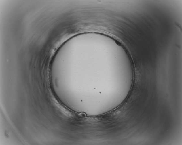 X0000103451525200809261805