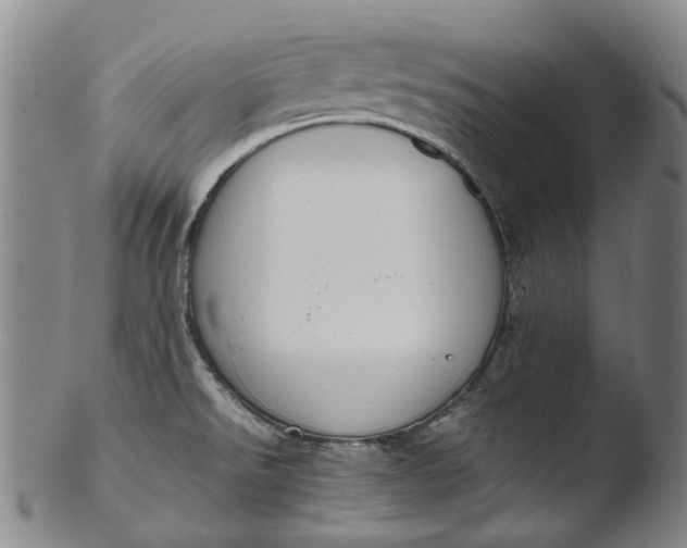 X0000103451526200809261805