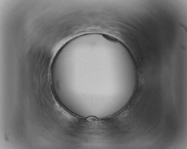 X0000103451527200809261805