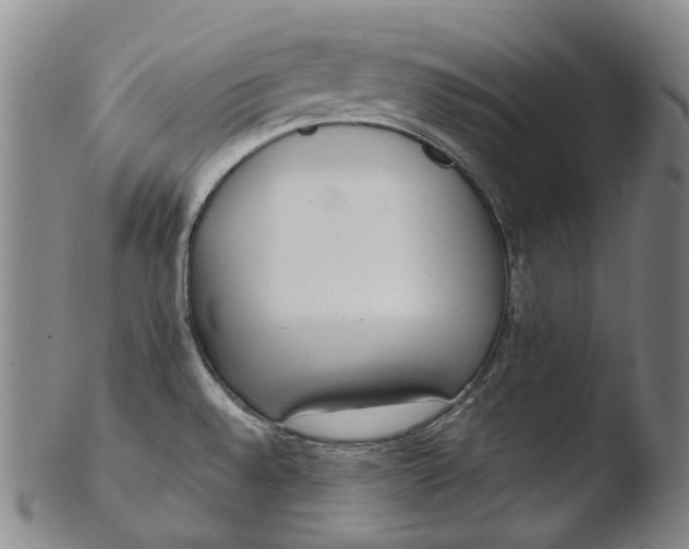 X0000103451528200809261805