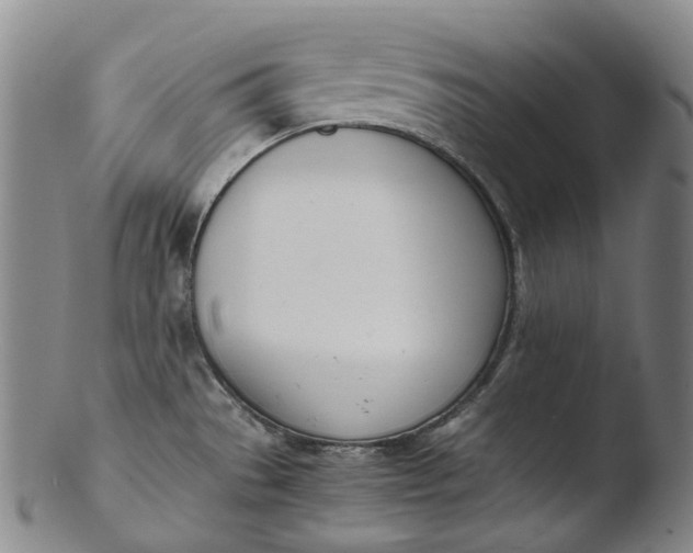 X0000103451529200809261805