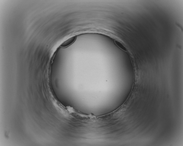 X0000103451530200809261805