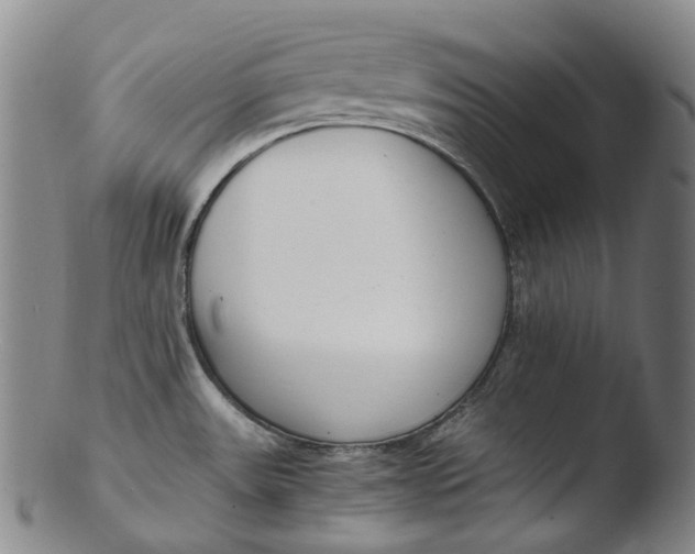 X0000103451531200809261805