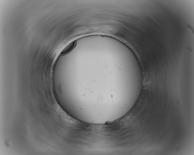 X0000103451532200809261805