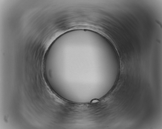 X0000103451533200809261805