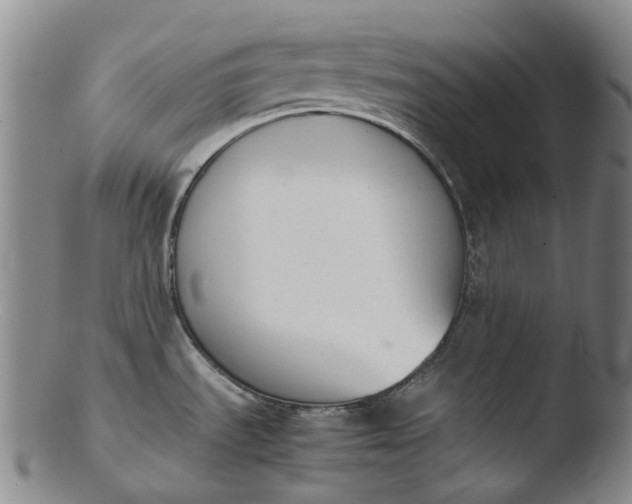 X0000103451535200809261805