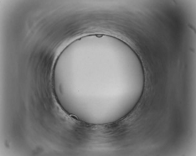 X0000103451536200809261805