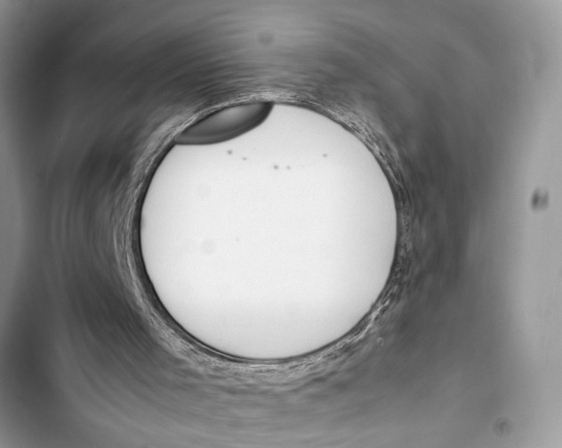 X0000103450001200810031446