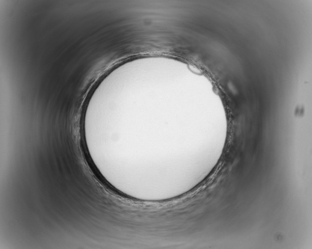 X0000103450002200810031446